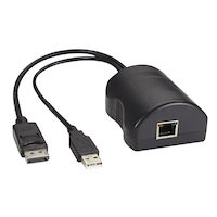 DCX Server Access Module - DisplayPort + USB