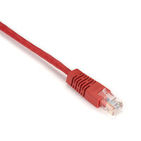 CAT5E 100-MHz Molded Boot Stranded Ethernet Patch Cable - Unshielded (UTP), CM PVC (RJ45 M/M)