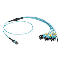 MTP OM3 Fiber Optic Harness Cable - Plenum, 12-Strand