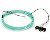 OM3 50-Micron Multimode Fiber Optic Pigtail - 6-Strand, OFNR, PVC