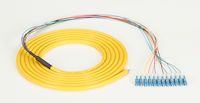 OS2 9-Micron Single-Mode Fiber Optic Pigtail - 12-Strand, OFNR, PVC