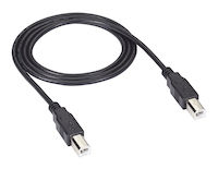 USB 2.0 Cable - Type B Male to Type B Male, Black, 6-ft. (1.8-m)